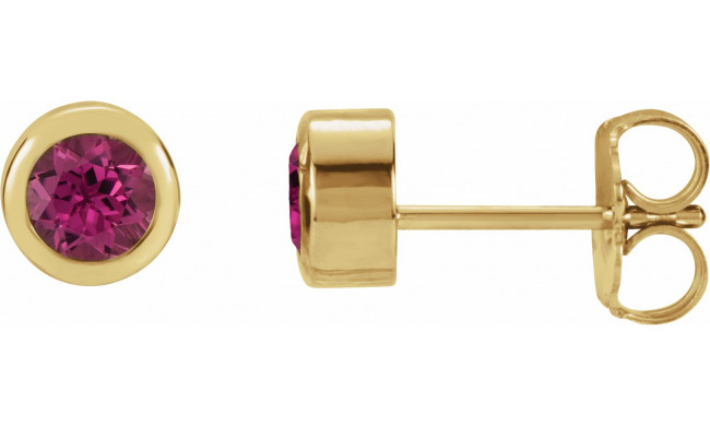 14K Yellow 4 mm Round Genuine Pink Tourmaline Birthstone Earrings - 6108660020P