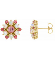 14K Yellow Pink Tourmaline & Ethiopian Opal Cabochon Earrings - 86952601P