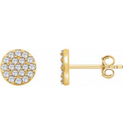 14K Yellow 1/3 CTW Diamond Cluster Earrings - 65175460001P