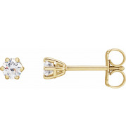 14K Yellow 3.2 mm I3 1/4 CTW Diamond 6-Prong Wire Basket Earrings - 292366069P