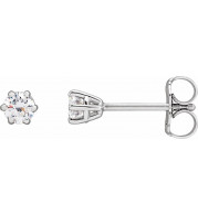 14K White 3.2 mm SI2-SI3 1/4 CTW Diamond 6-Prong Wire Basket Earrings - 292366100P