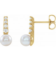 14K Yellow Freshwater Cultured Pearl & 1/6 CTW Diamond Earrings - 86957606P