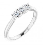 14K White 1/3 CTW Diamond Anniversary Band - 1240546001P