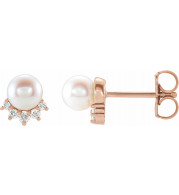 14K Rose Freshwater Cultured Pearl & .08 CTW Diamond Earrings - 86767607P