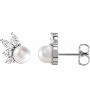 14K White Akoya Cultured Pearl & 1/2 CTW Diamond Earrings - 87079605P