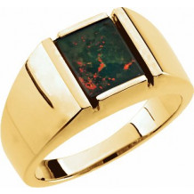 14K Yellow Bloodstone Men's Ring - 64221100459P