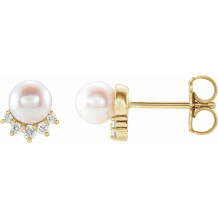 14K Yellow Freshwater Cultured Pearl & .08 CTW Diamond Earrings - 86767606P