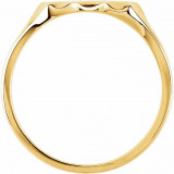 14K Yellow 11.2x6.7 mm Oval Signet Ring - 52026396P photo 2