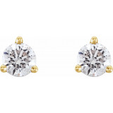 14K Yellow 1/3 CTW Diamond Earrings - 6623460039P photo 2