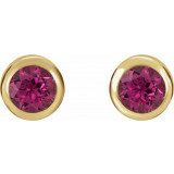 14K Yellow 4 mm Round Genuine Pink Tourmaline Birthstone Earrings - 6108660020P photo 2