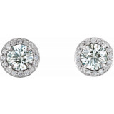 14K White 3/8 CTW Diamond Halo-Style Earrings - 86458619P photo 2