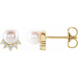 14K Yellow Freshwater Cultured Pearl & .08 CTW Diamond Earrings - 86767606P photo