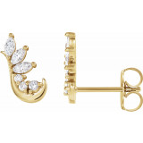 14K Yellow 1/4 CTW Diamond Earring Climbers - 86946601P photo